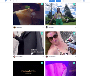 Picture of the website fapeza