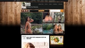 This is a picture of the website: drunkenstepfather.com