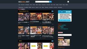 This is a picture of the website: sexasia.net