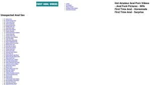 This is a picture of the website: www.firstanalvideos.com