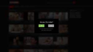 This is a picture of the website: ziporn.com