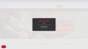 This is the : Acmejoy-homepage