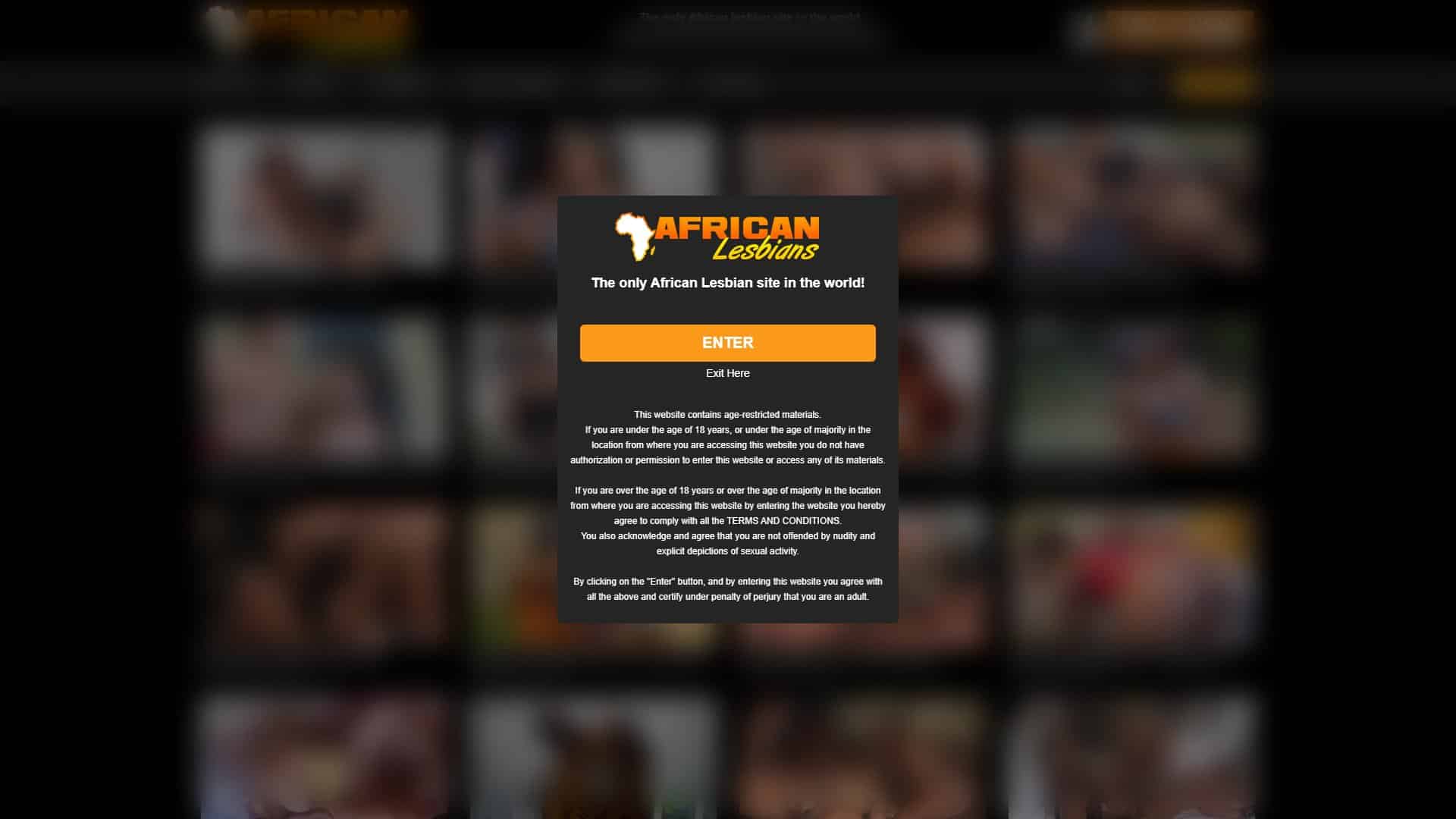 Screenshot of African Lesbians