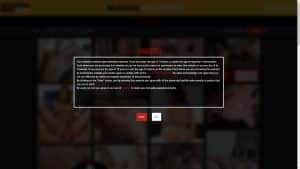 This is the : Analized-homepage