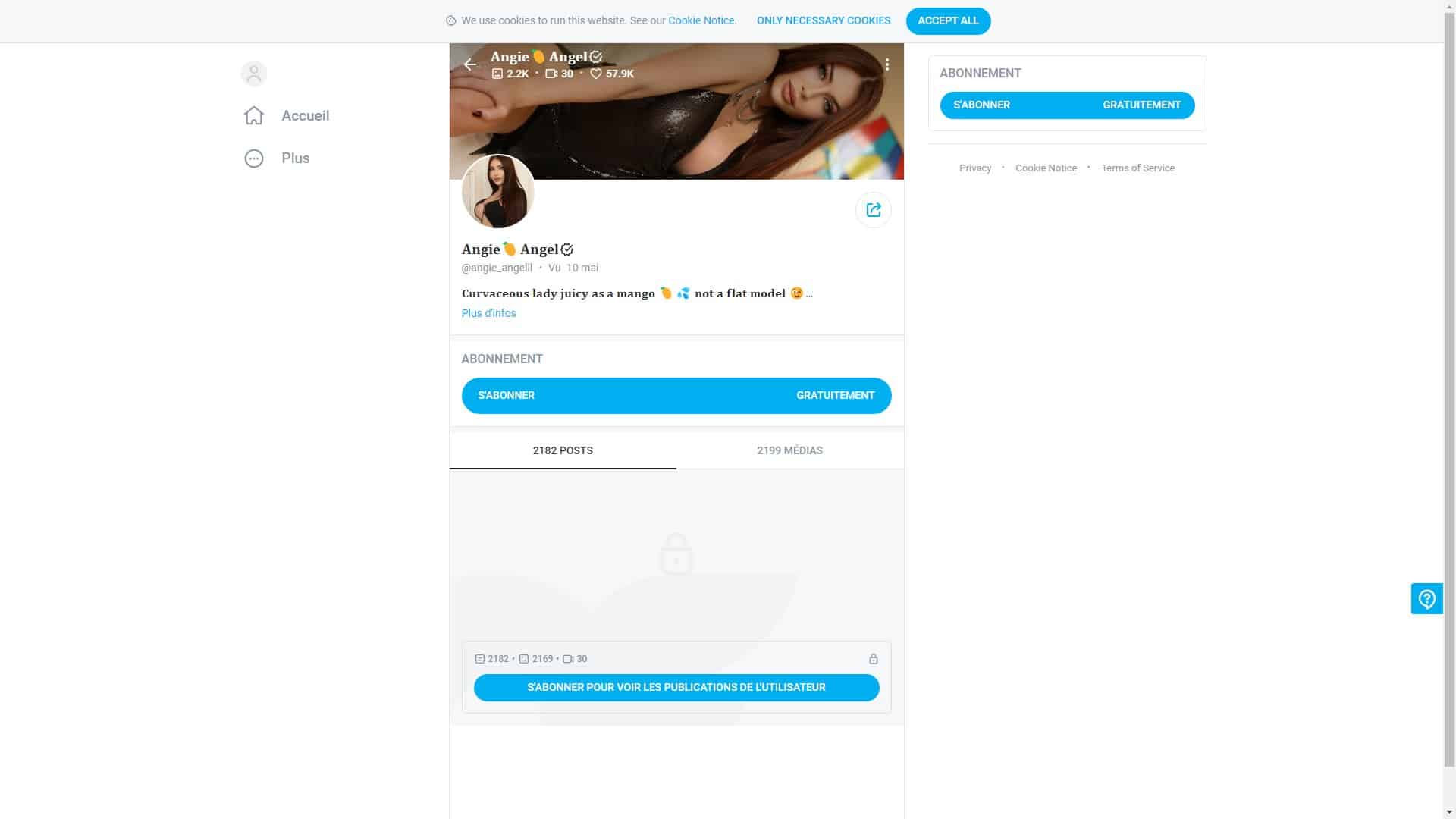 Screenshot of Angie Angel