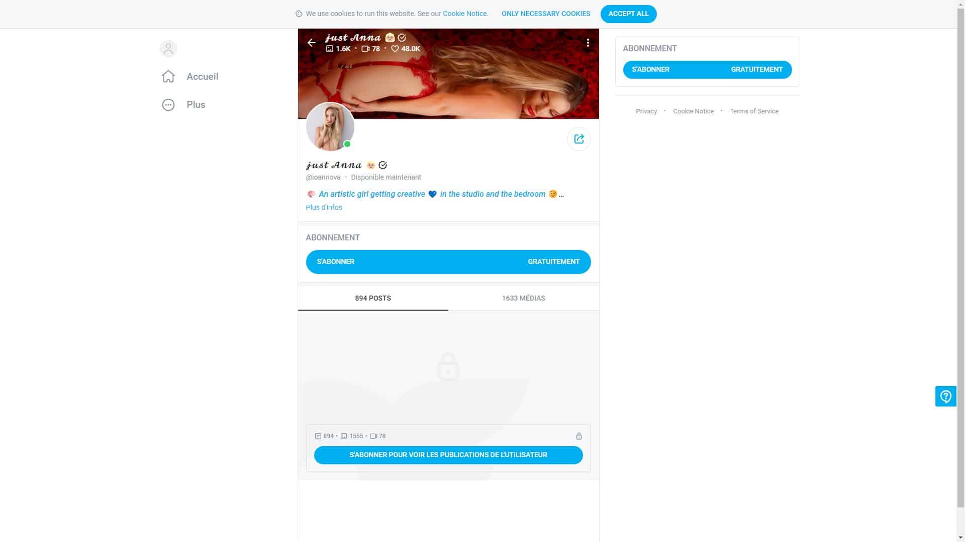 Screenshot of Anya
