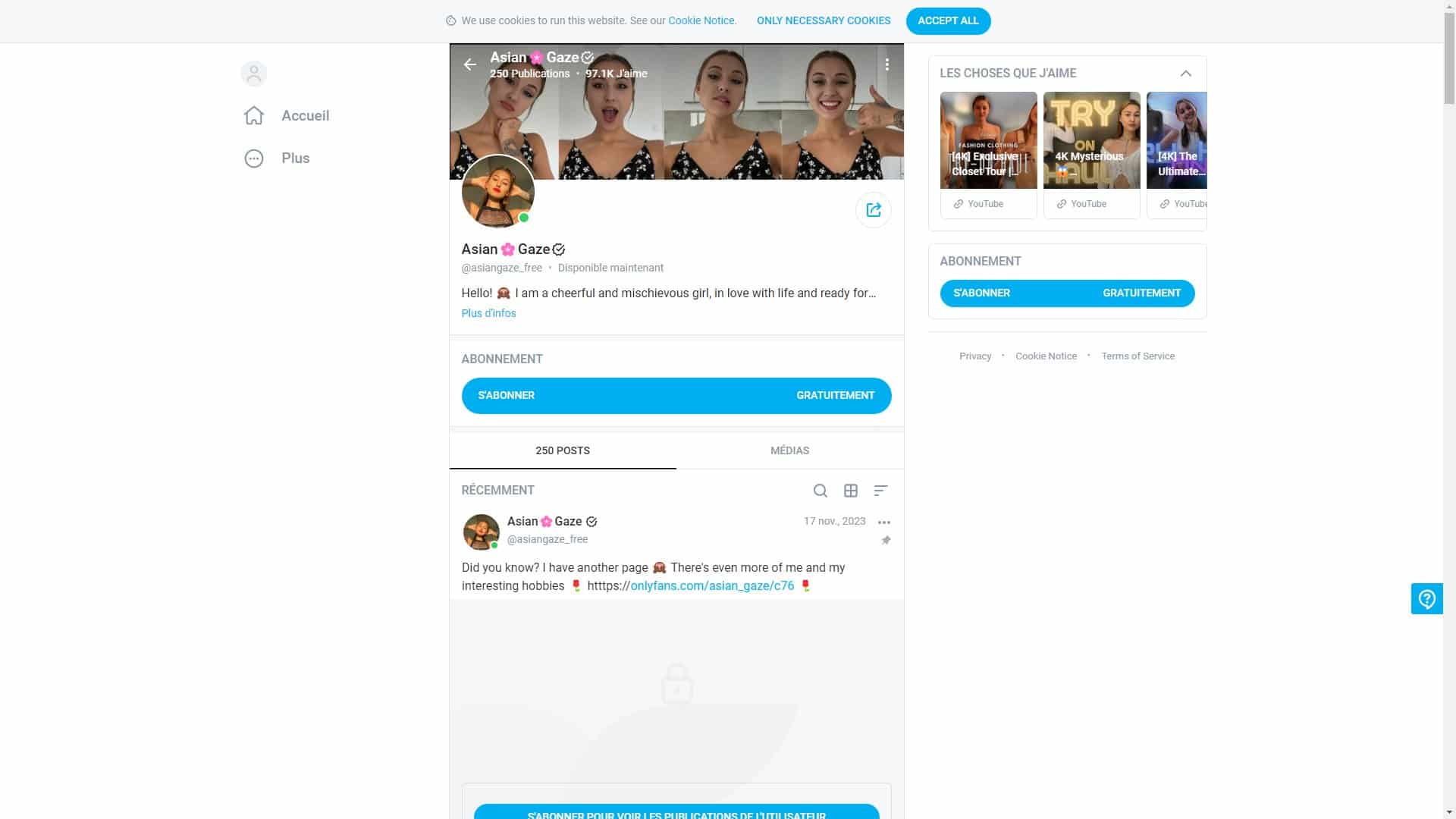 Screenshot of Asian Gaze