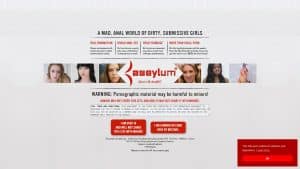 This is the : Assylum-homepage