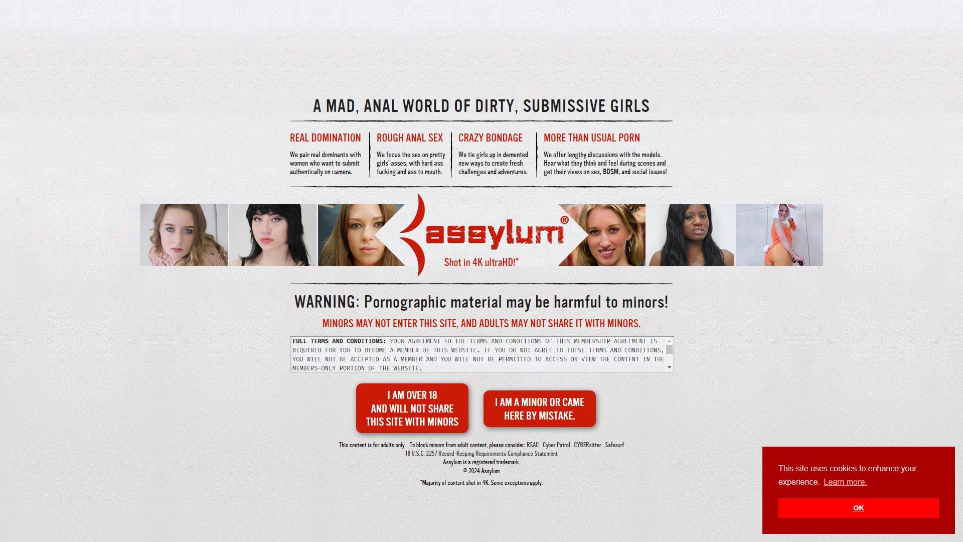 Screenshot of Assylum