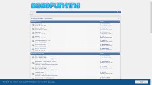 This is the : Barepunting-homepage