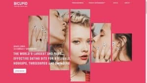 This is the : Bicupid-homepage