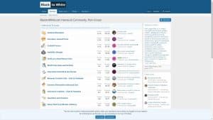 This is the : Blacktowhite-homepage