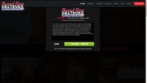 This is the : Brand-New-Amateurs-homepage