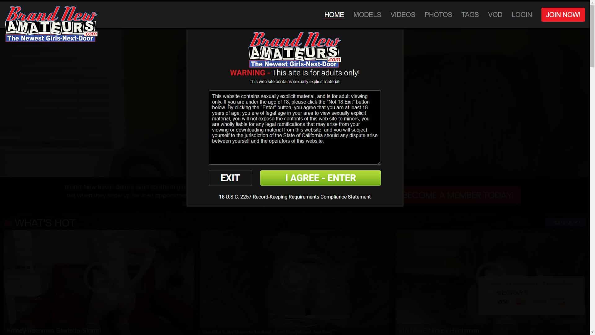 Screenshot of Brand New Amateurs