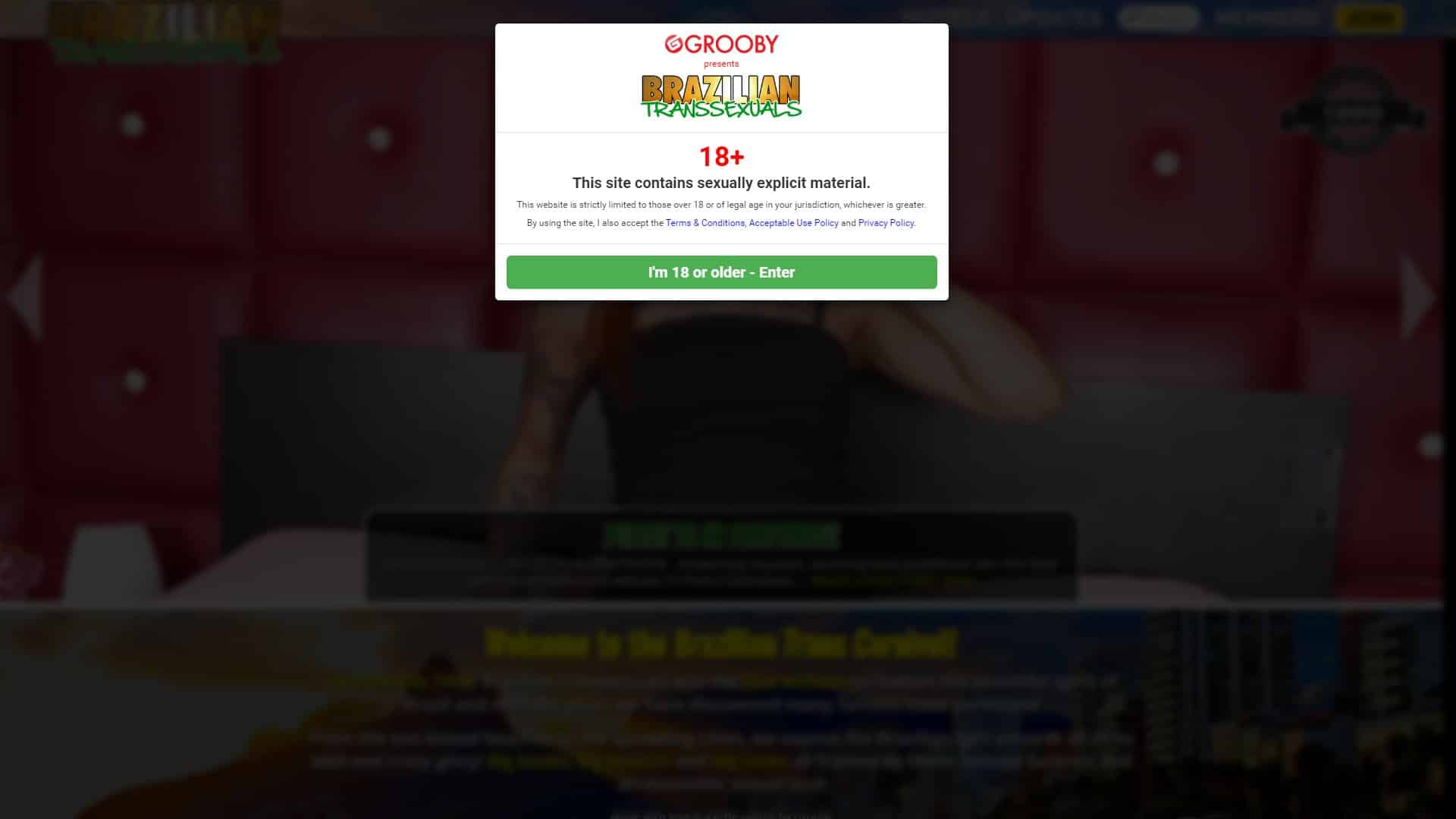 Screenshot of Brazilian Transsexuals