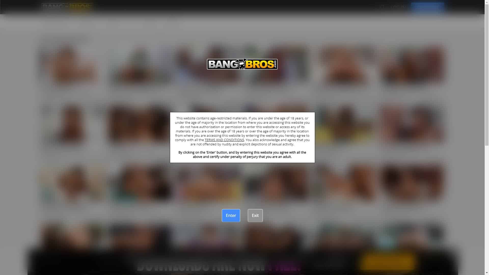 Screenshot of Brown Bunnies