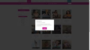 This is the : Callescort-homepage