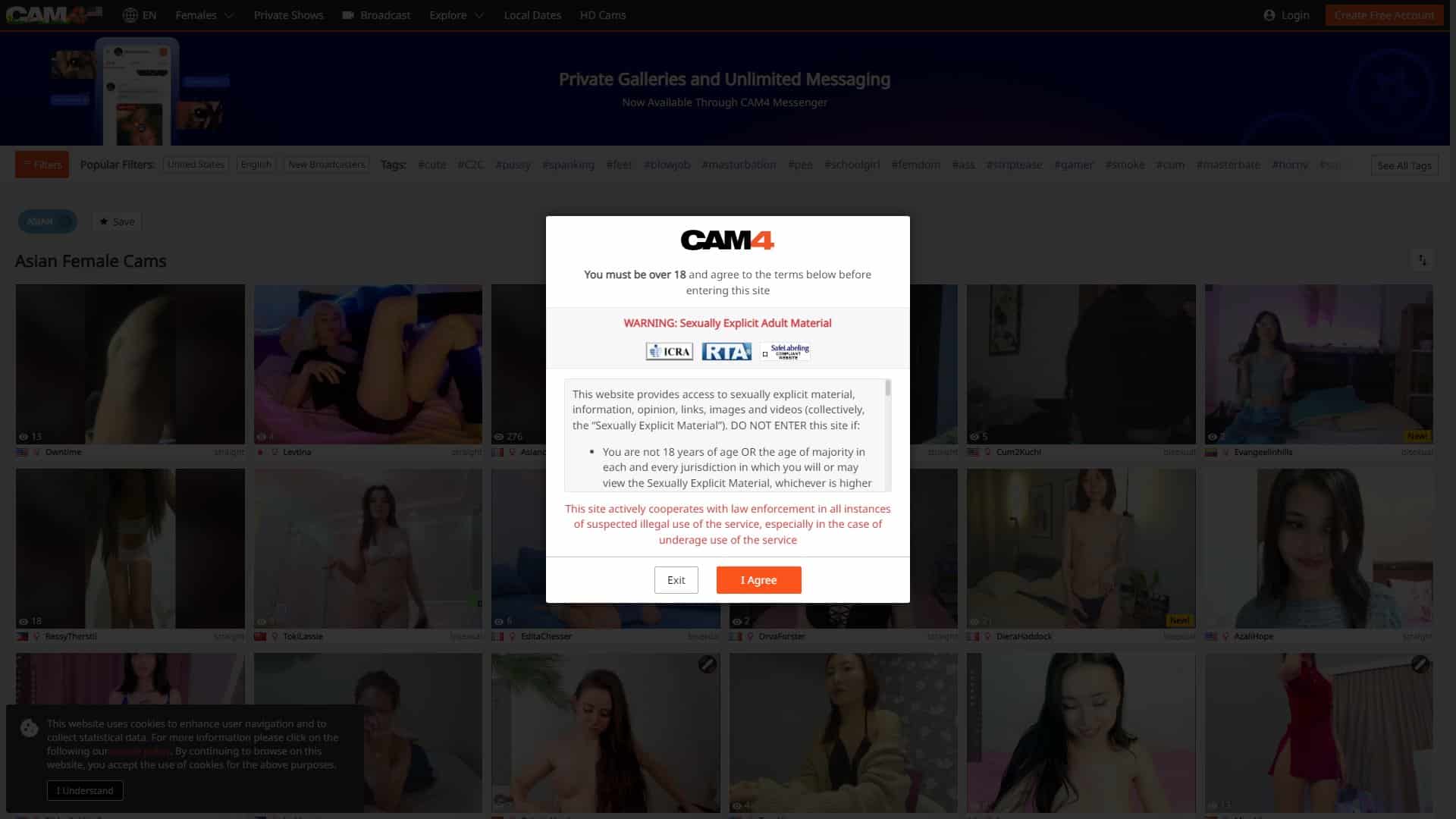 Screenshot of Cam4 Asian