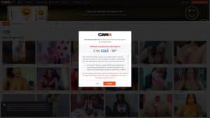 This is the : Cam4-Bbw-homepage