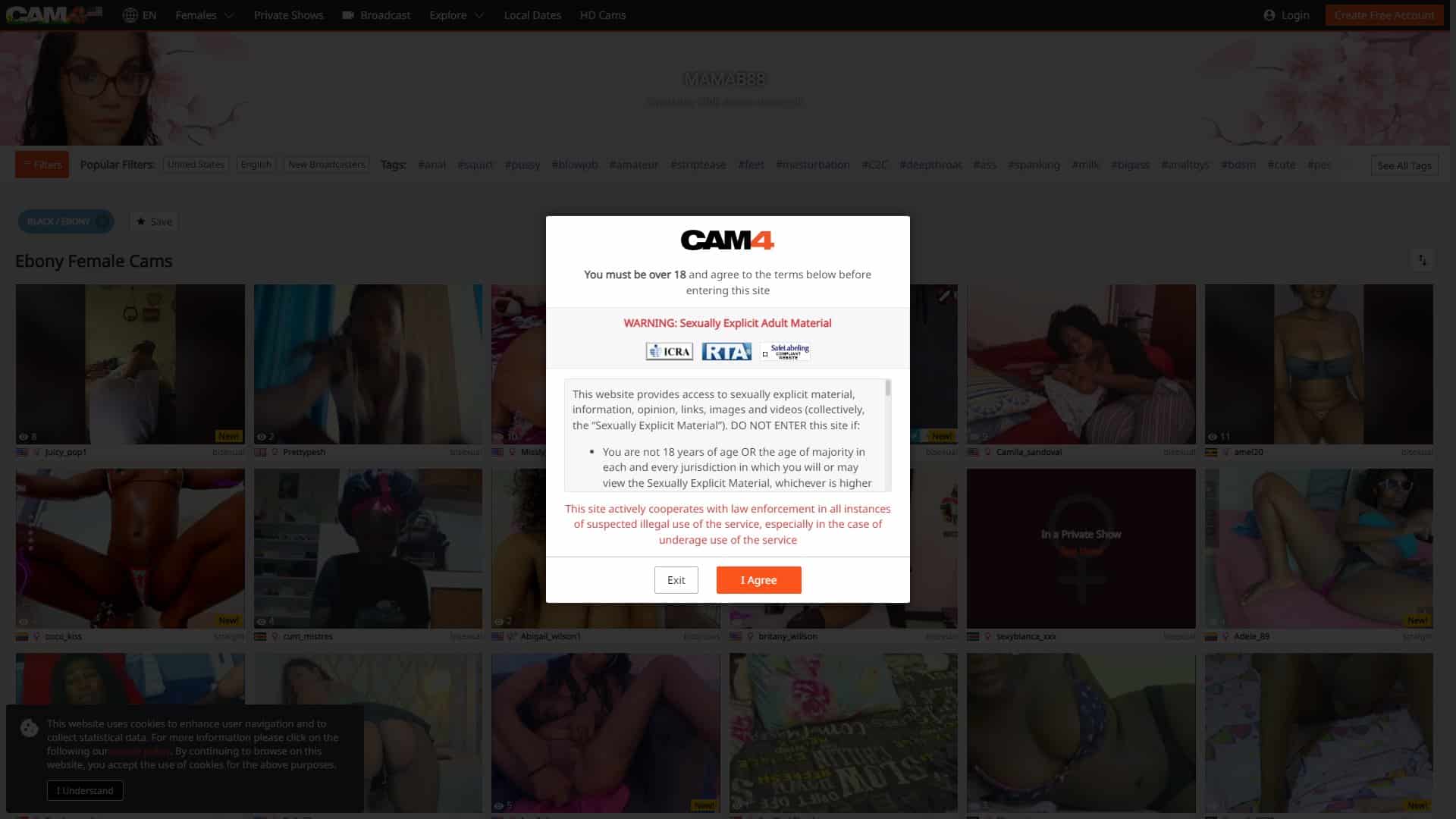 Screenshot of Cam4 Ebony