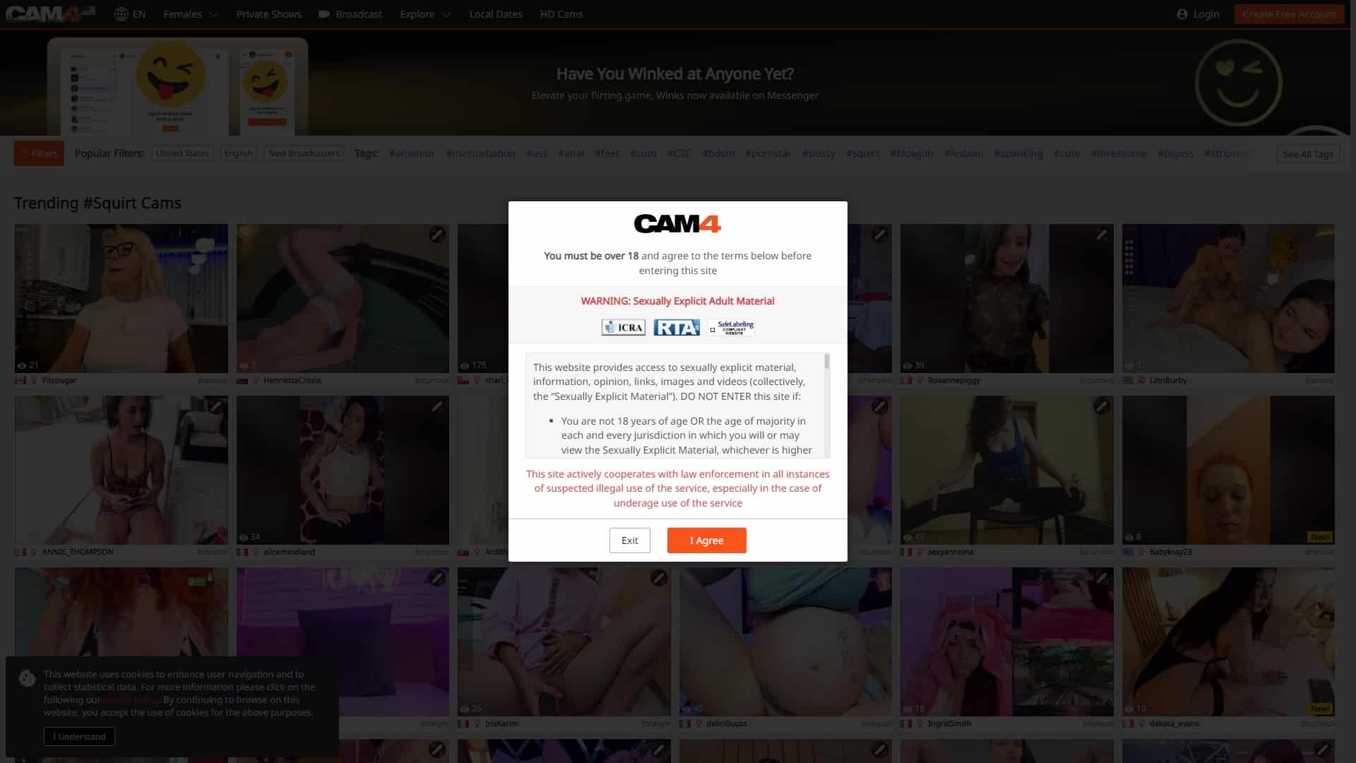 Screenshot of Cam4 Squirt