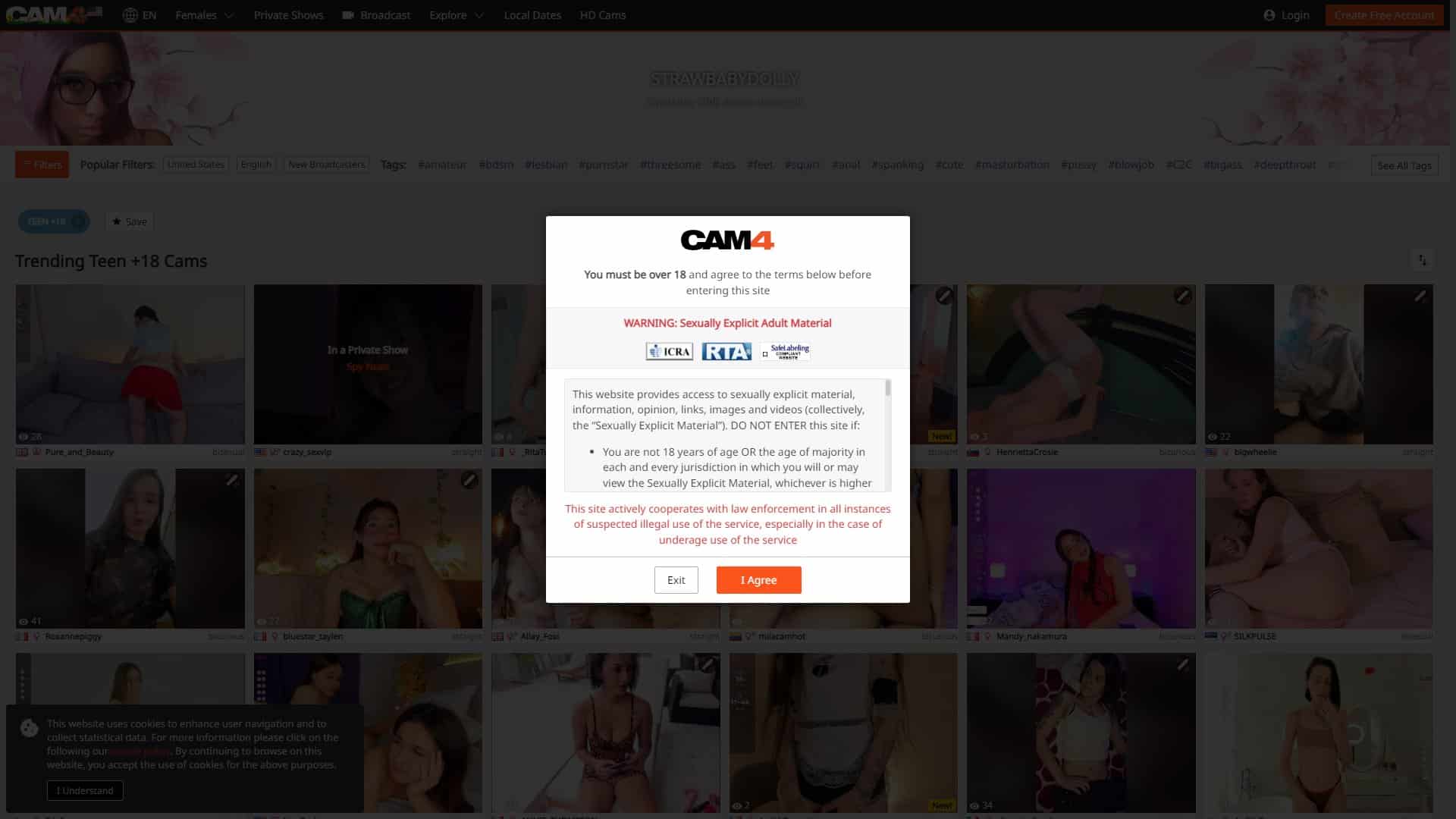 Screenshot of Cam4 Teen (18+)