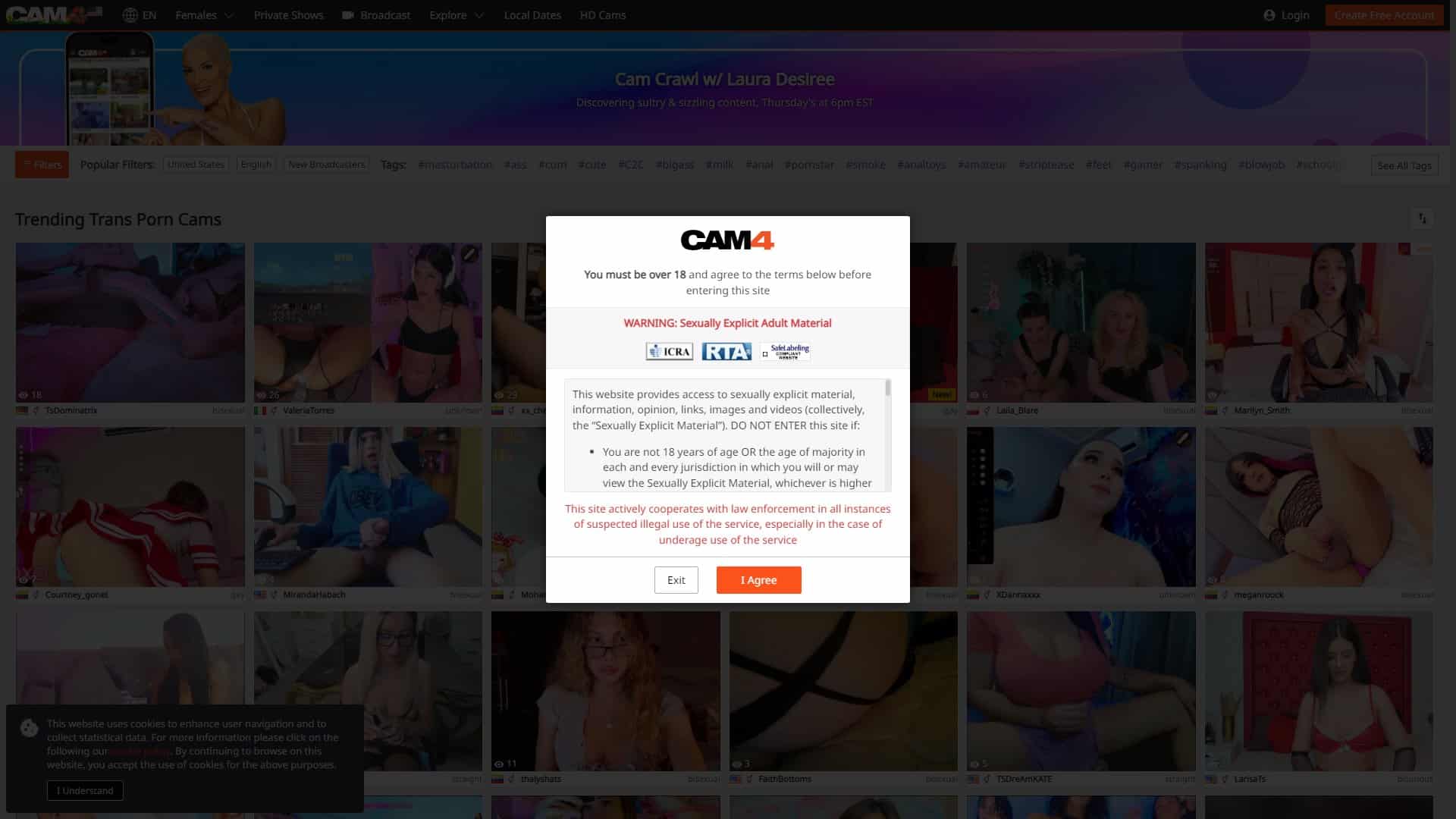 Screenshot of Cam4 Trans