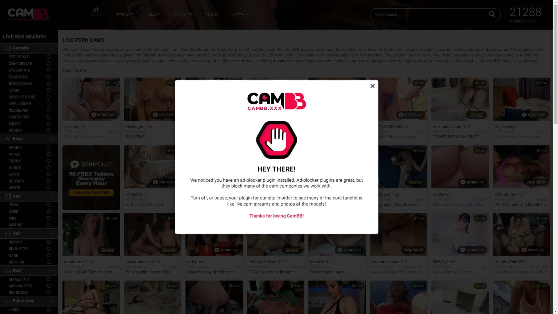 Screenshot of Cambb