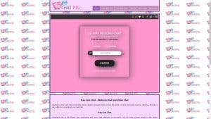 This is the : Chatpig-homepage