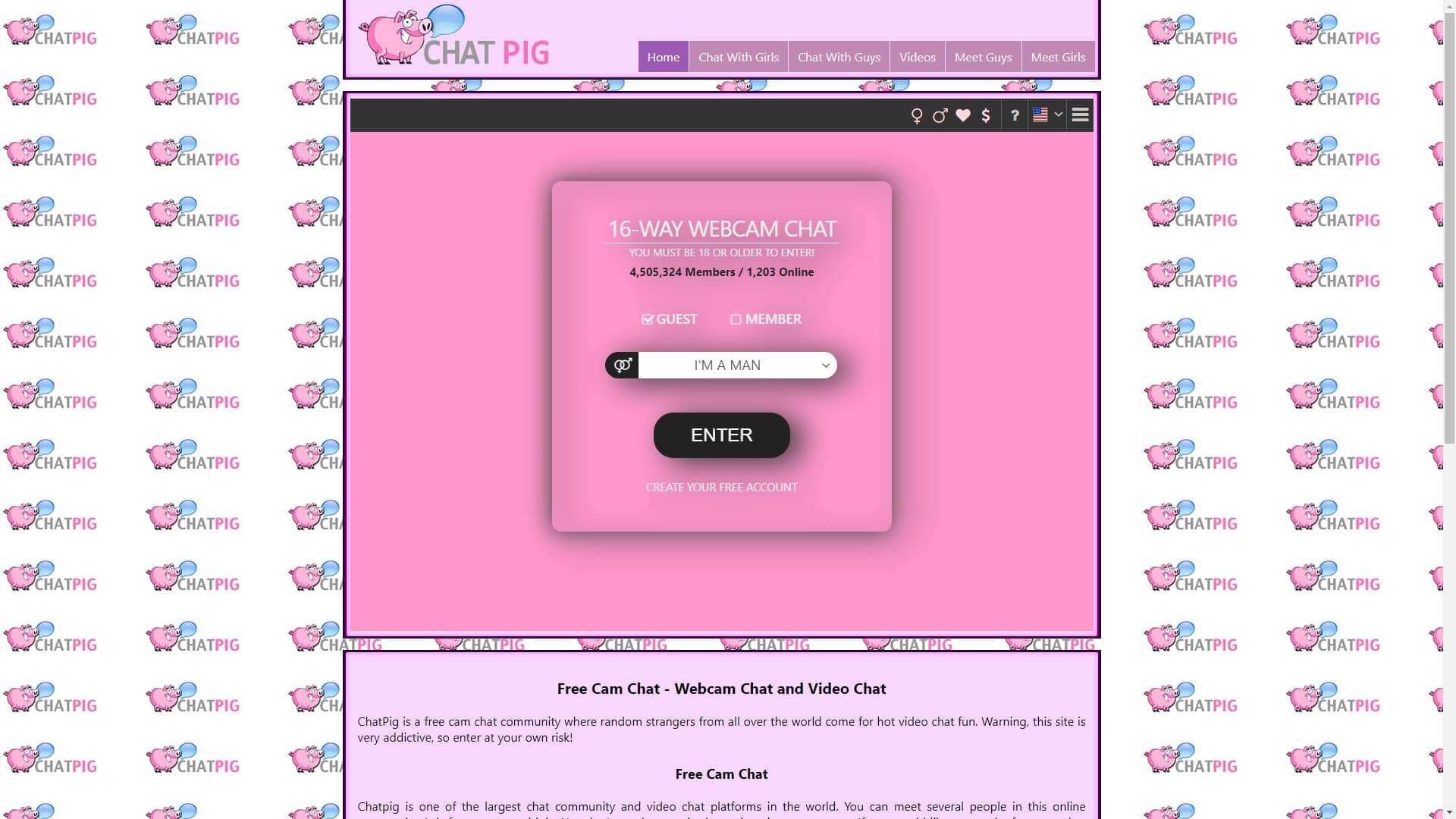 Screenshot of Chatpig