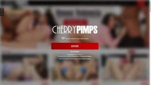 This is the : Cherrypimps-homepage