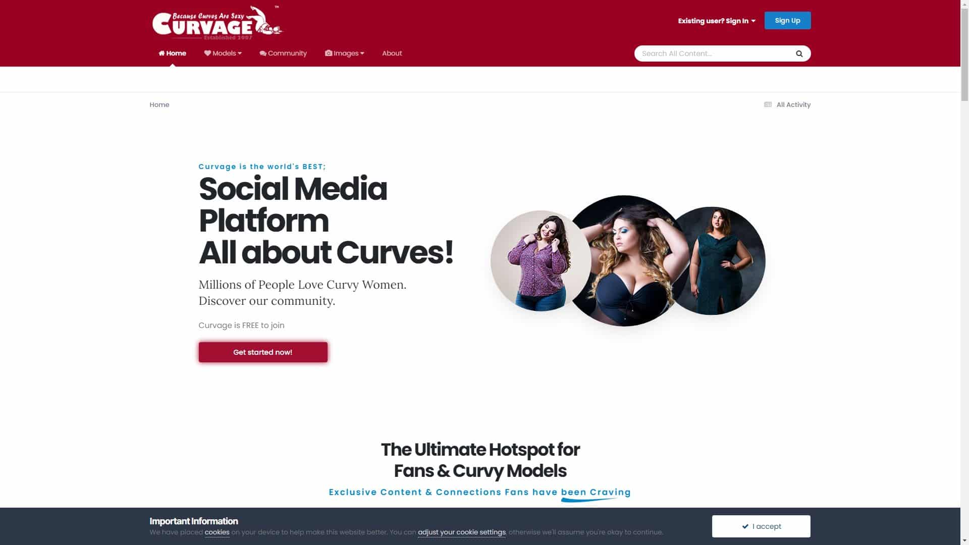 Screenshot of Curvage