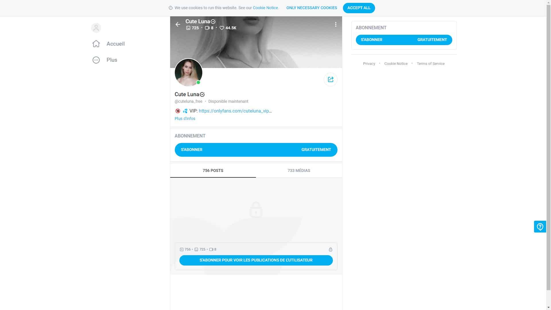 Screenshot of Cute Luna