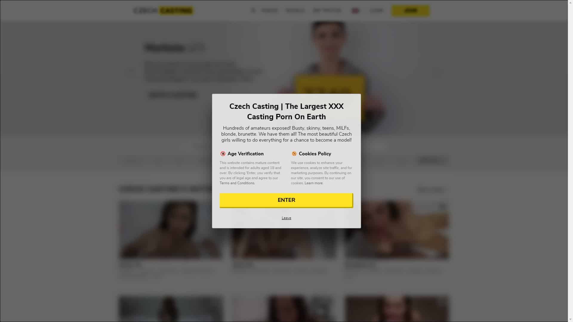 Screenshot of Czech Casting