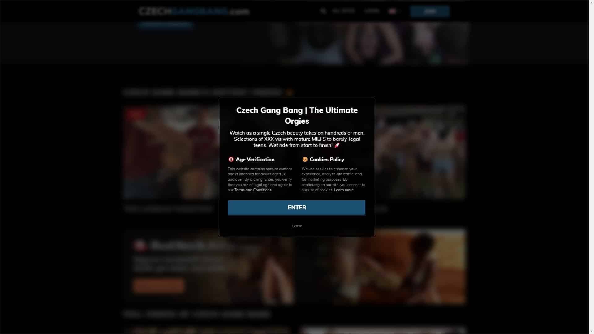 Screenshot of Czech Gangbang