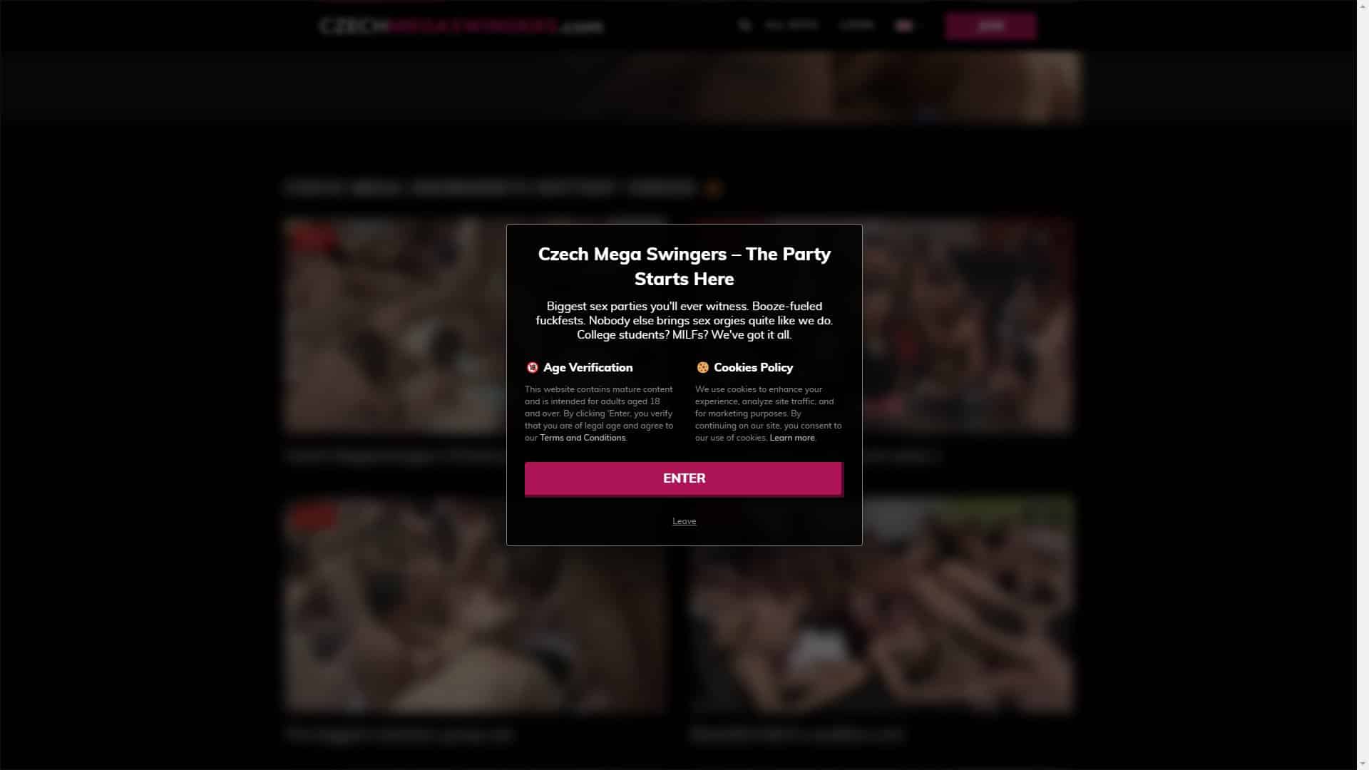 Screenshot of Czech Mega Swingers