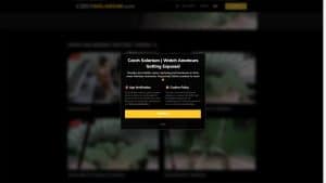 This is the : Czech-Solarium-Fake-homepage