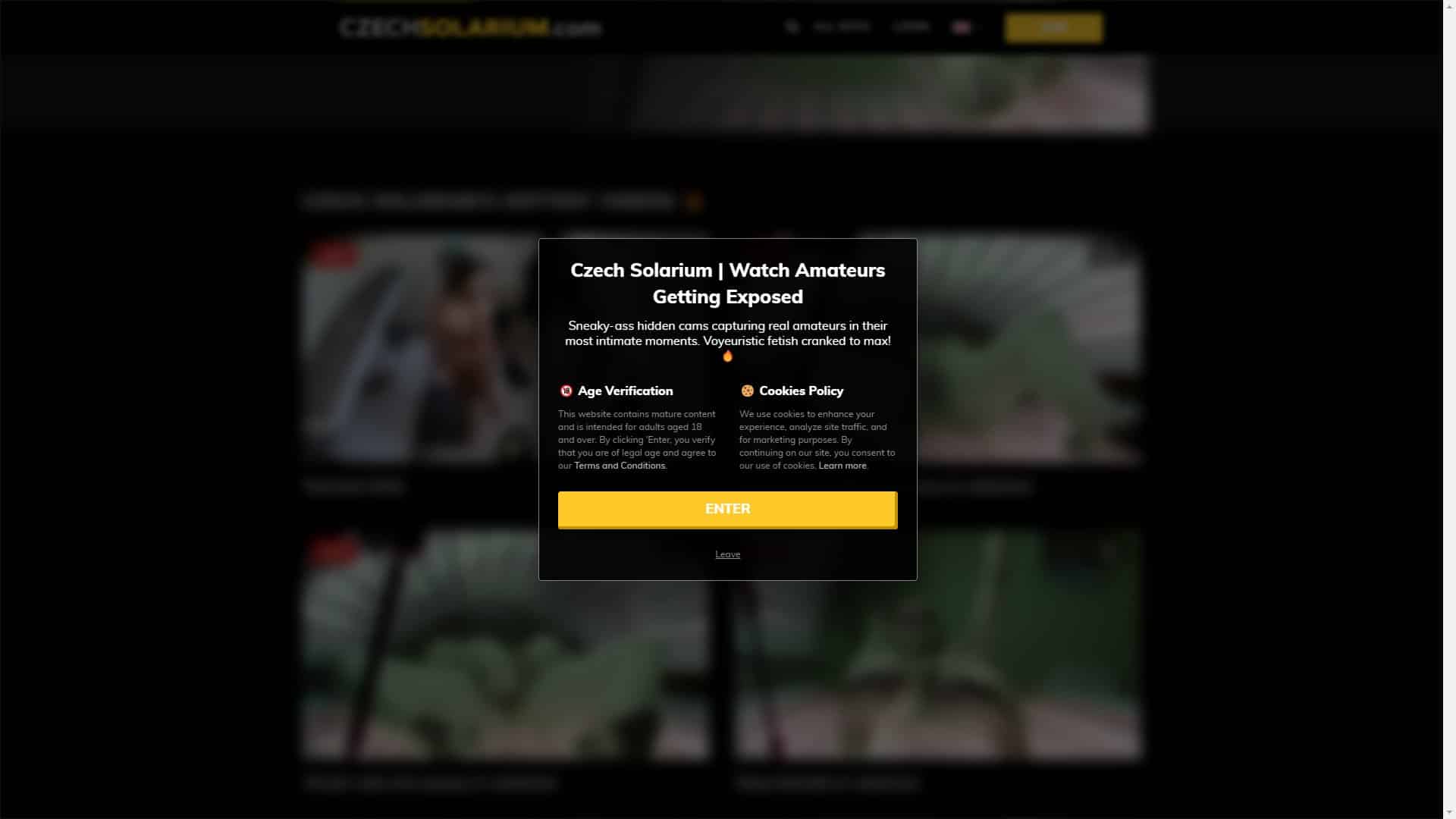 Screenshot of Czech Solarium (Fake)