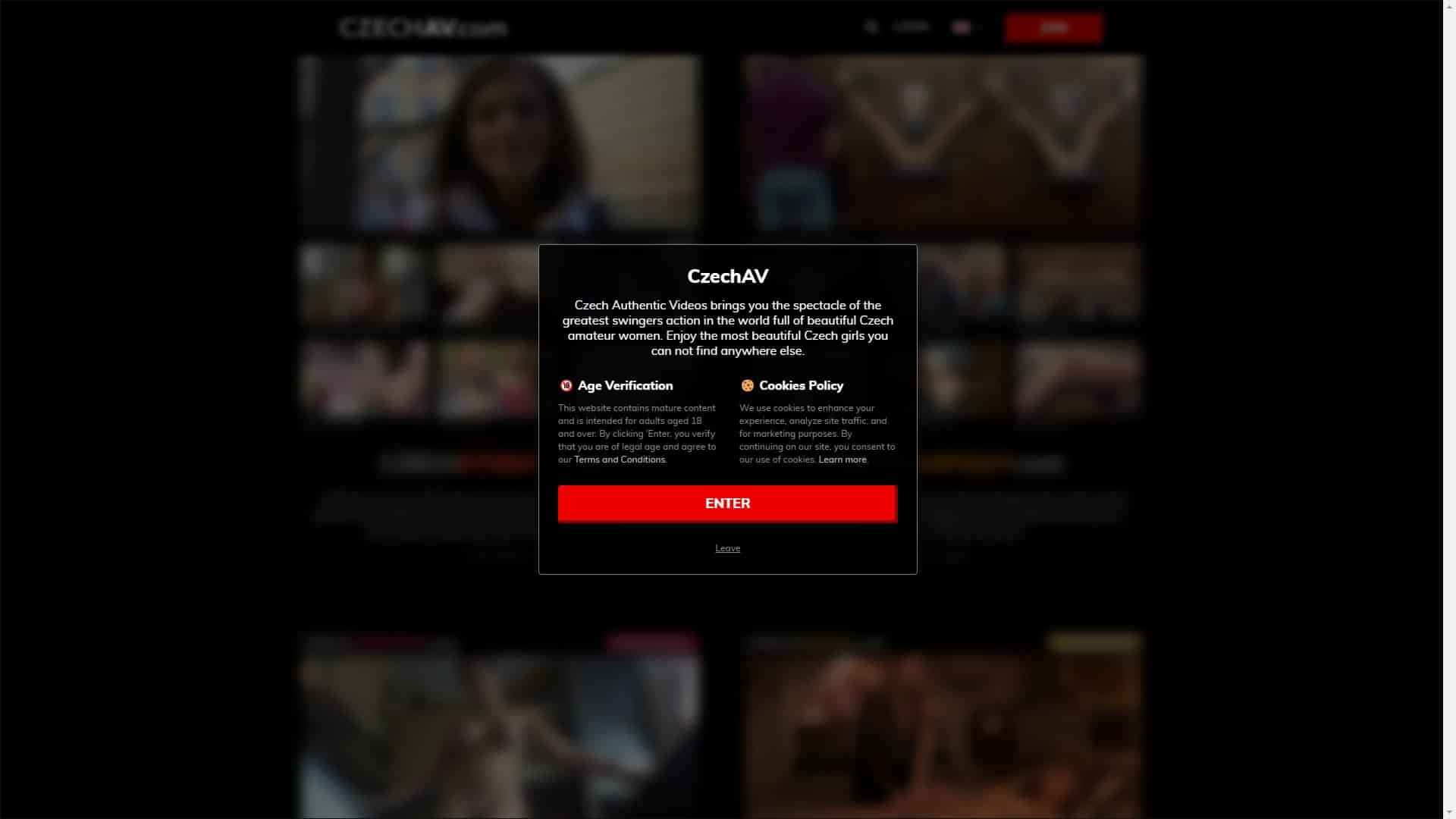 Screenshot of Czechav