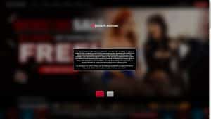 This is the : Digital-Playground-Parodies-homepage