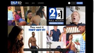 This is the : Dilfed-homepage