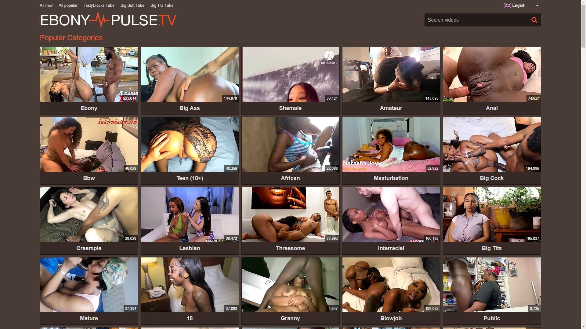 Screenshot of Ebony Pulse