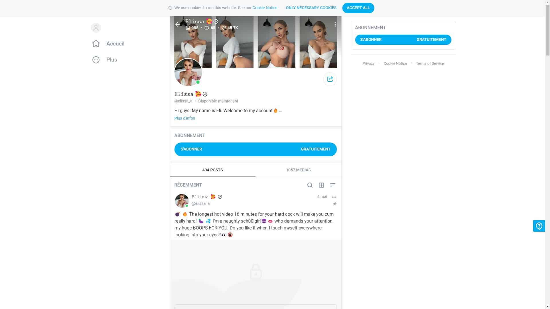 Screenshot of Elissa