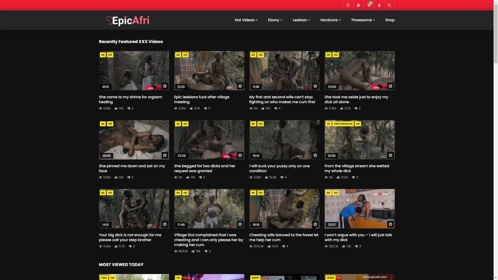 Screenshot of Epicafri