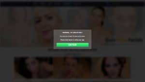 This is the : Eurobabefacials-homepage