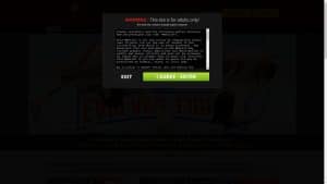 This is the : Evolved-Fights-homepage