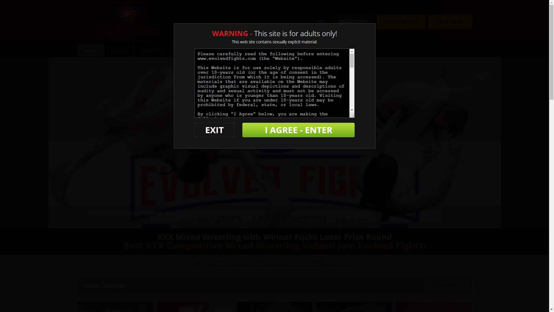 Screenshot of Evolved Fights