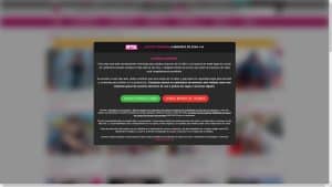 This is the : Fakings-homepage