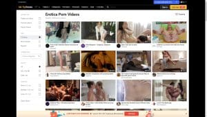 This is the : Faphouse-Erotica-homepage