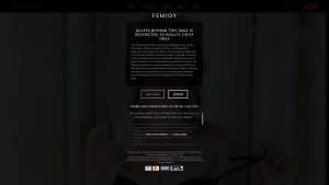 This is the : Femjoy-homepage